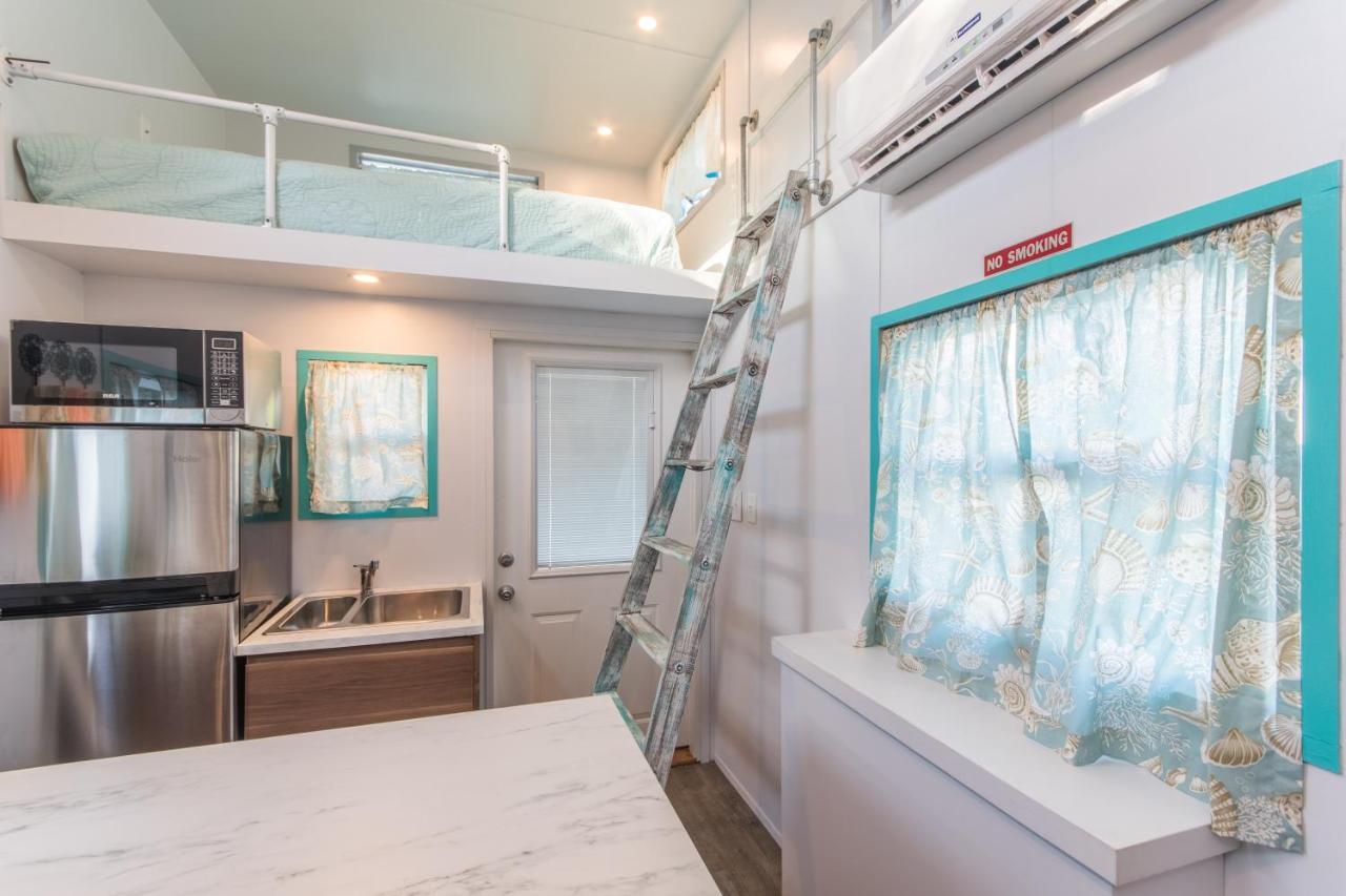 萨拉索塔Tiny House Siesta别墅 外观 照片